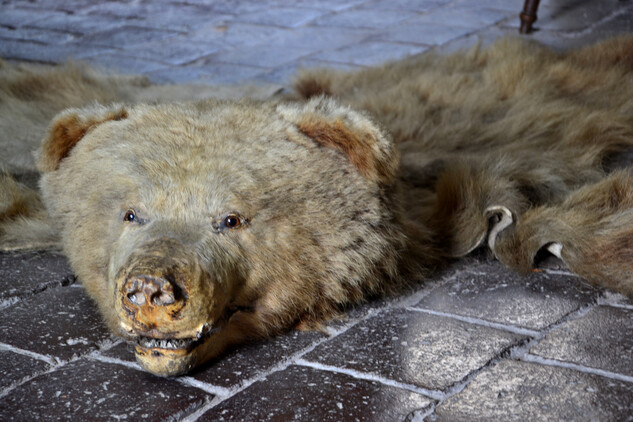 Renesanční jídelna | © Jakub Kulda