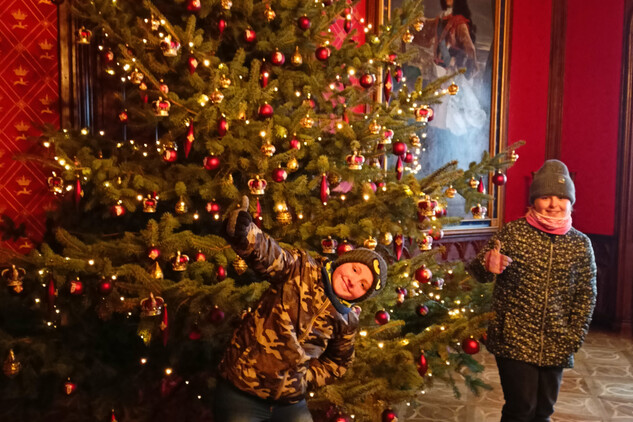 Na Sychrově bude v královském apartmá zřízen fotokoutek u velkého vánočního stromu